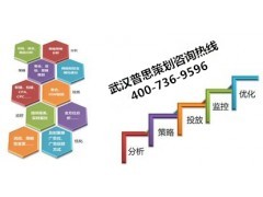 专业助力，筑梦未来 普思策划为您代写高质量房地产项目建议书